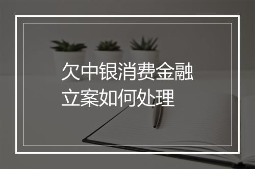 欠中银消费金融立案如何处理