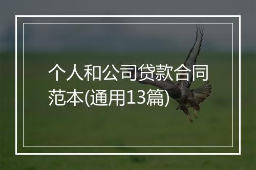 个人和公司贷款合同范本(通用13篇)