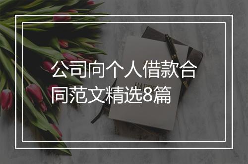 公司向个人借款合同范文精选8篇