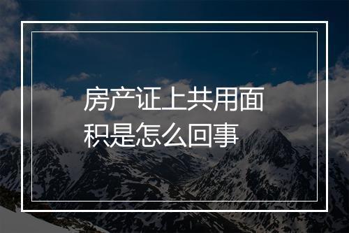房产证上共用面积是怎么回事