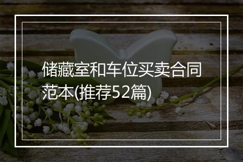 储藏室和车位买卖合同范本(推荐52篇)