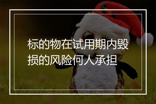 标的物在试用期内毁损的风险何人承担