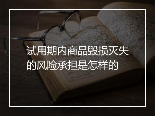 试用期内商品毁损灭失的风险承担是怎样的