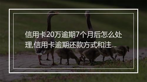 信用卡20万逾期7个月后怎么处理,信用卡逾期还款方式和注意事项