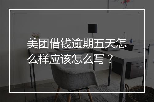 美团借钱逾期五天怎么样应该怎么写？