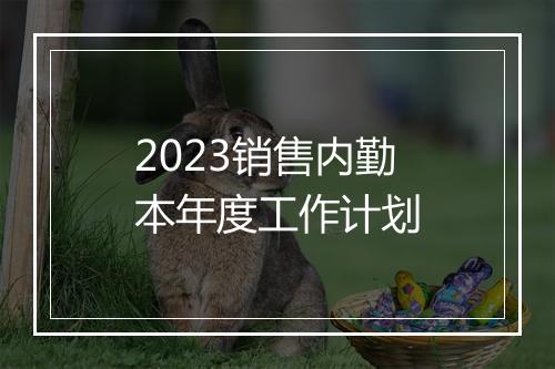 2023销售内勤本年度工作计划