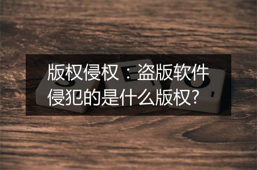 版权侵权：盗版软件侵犯的是什么版权?