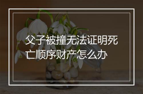 父子被撞无法证明死亡顺序财产怎么办