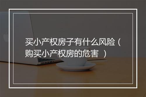 买小产权房子有什么风险（购买小产权房的危害 ）