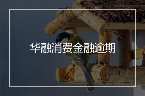 华融消费金融逾期