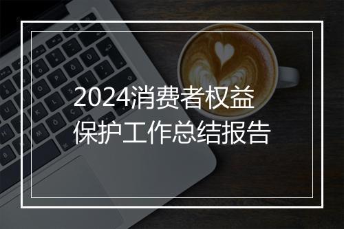 2024消费者权益保护工作总结报告