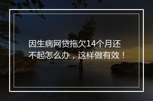 因生病网贷拖欠14个月还不起怎么办，这样做有效！