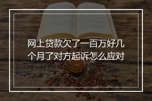 网上贷款欠了一百万好几个月了对方起诉怎么应对