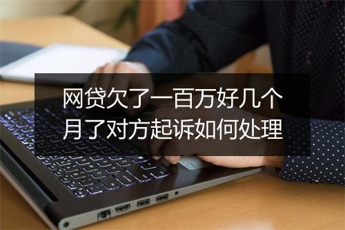 网贷欠了一百万好几个月了对方起诉如何处理