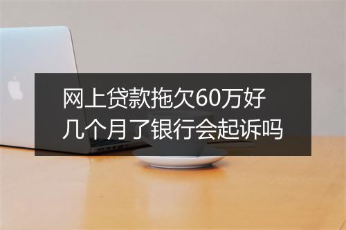 网上贷款拖欠60万好几个月了银行会起诉吗