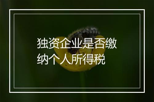 独资企业是否缴纳个人所得税