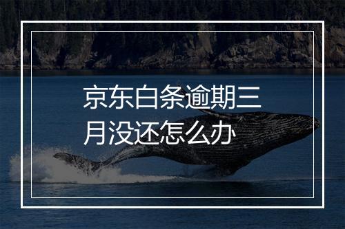 京东白条逾期三月没还怎么办