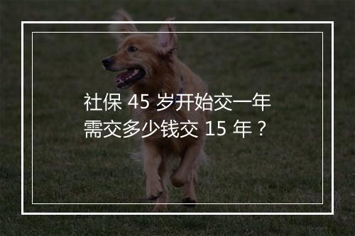 社保 45 岁开始交一年需交多少钱交 15 年？