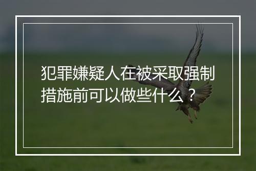 犯罪嫌疑人在被采取强制措施前可以做些什么？