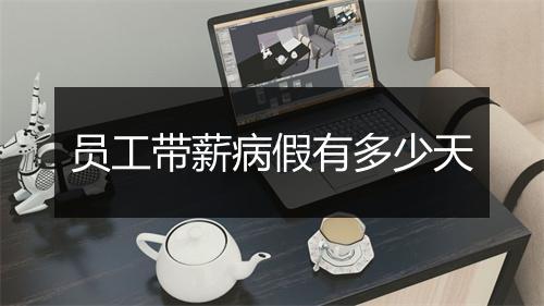 员工带薪病假有多少天