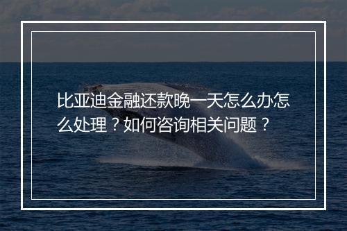 比亚迪金融还款晚一天怎么办怎么处理？如何咨询相关问题？