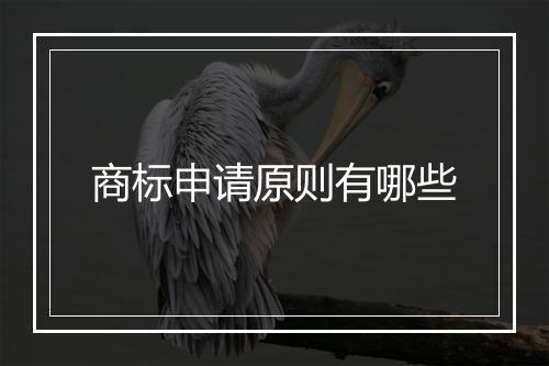 商标申请原则有哪些