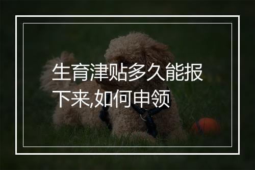 生育津贴多久能报下来,如何申领