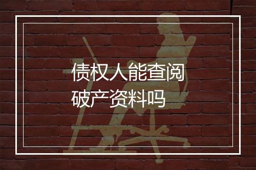 债权人能查阅破产资料吗