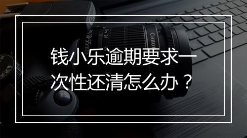 钱小乐逾期要求一次性还清怎么办？