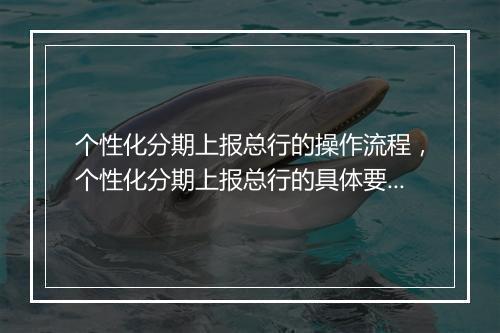 个性化分期上报总行的操作流程，个性化分期上报总行的具体要求