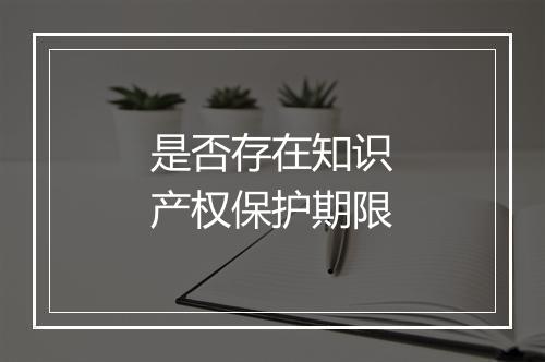 是否存在知识产权保护期限