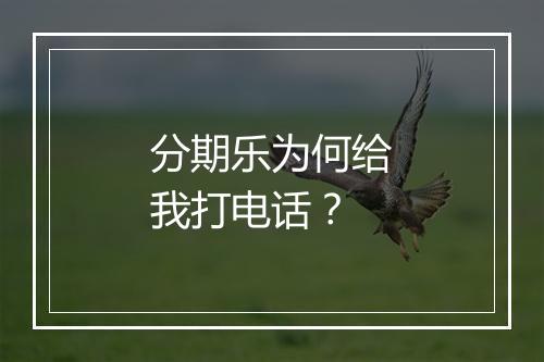 分期乐为何给我打电话？