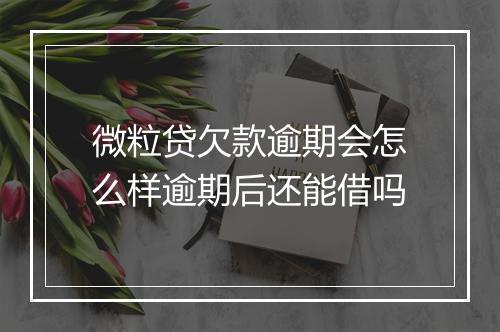 微粒贷欠款逾期会怎么样逾期后还能借吗