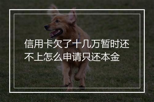 信用卡欠了十几万暂时还不上怎么申请只还本金