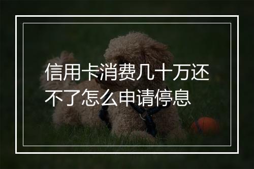 信用卡消费几十万还不了怎么申请停息