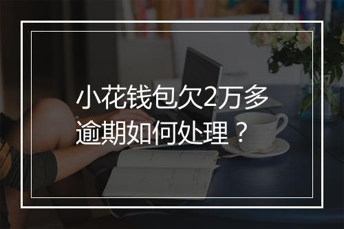 小花钱包欠2万多逾期如何处理？