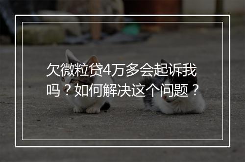 欠微粒贷4万多会起诉我吗？如何解决这个问题？