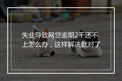 失业导致网贷逾期2千还不上怎么办，这样解决就对了