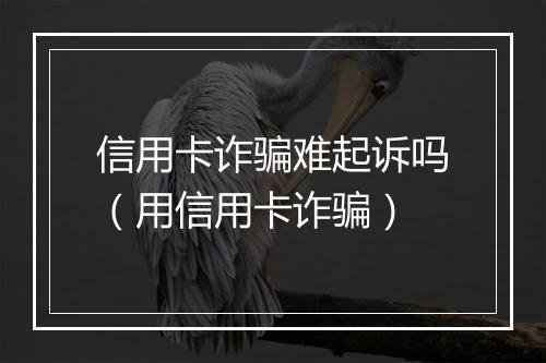 信用卡诈骗难起诉吗（用信用卡诈骗）