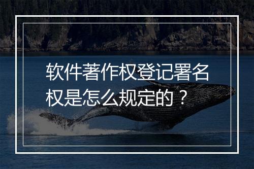 软件著作权登记署名权是怎么规定的？