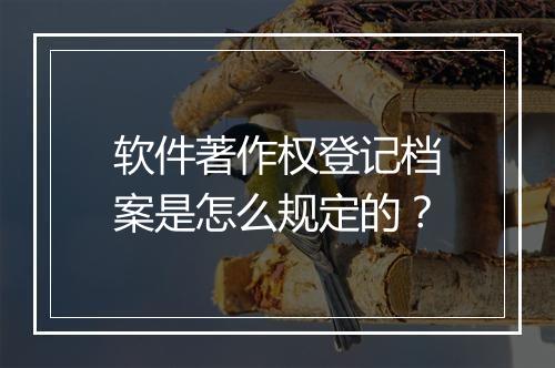 软件著作权登记档案是怎么规定的？