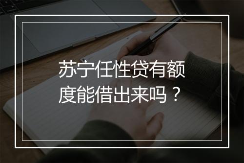 苏宁任性贷有额度能借出来吗？