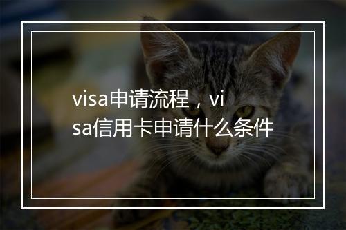 visa申请流程，visa信用卡申请什么条件
