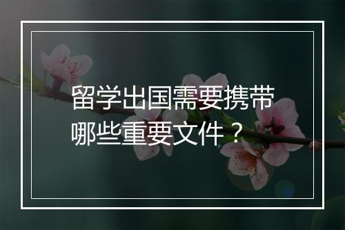 留学出国需要携带哪些重要文件？