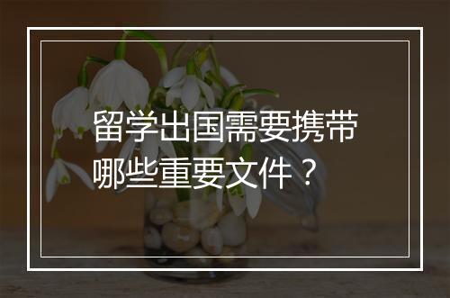 留学出国需要携带哪些重要文件？