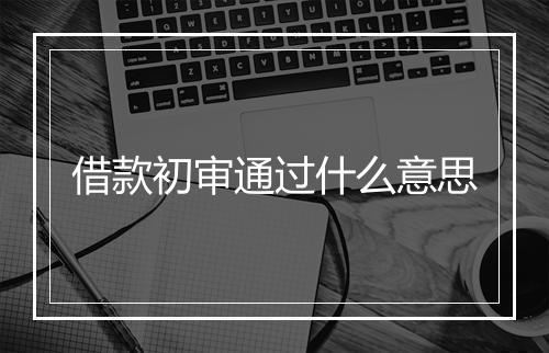 借款初审通过什么意思