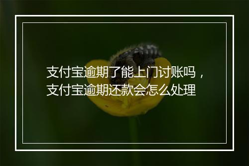 支付宝逾期了能上门讨账吗，支付宝逾期还款会怎么处理