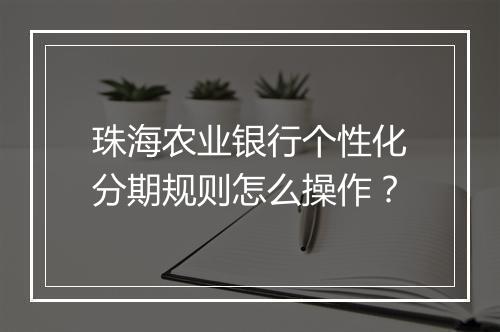 珠海农业银行个性化分期规则怎么操作？