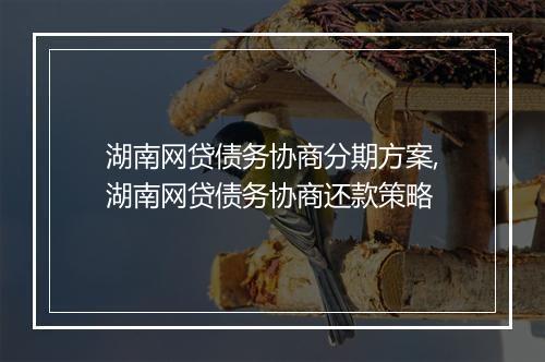 湖南网贷债务协商分期方案,湖南网贷债务协商还款策略
