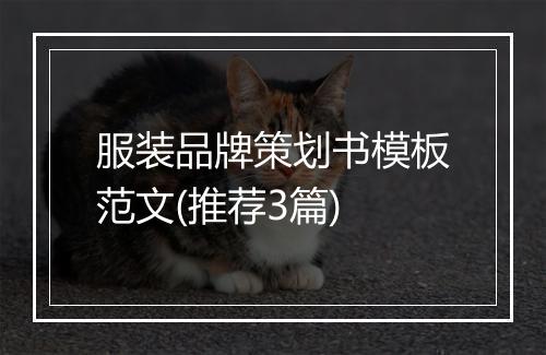 服装品牌策划书模板范文(推荐3篇)